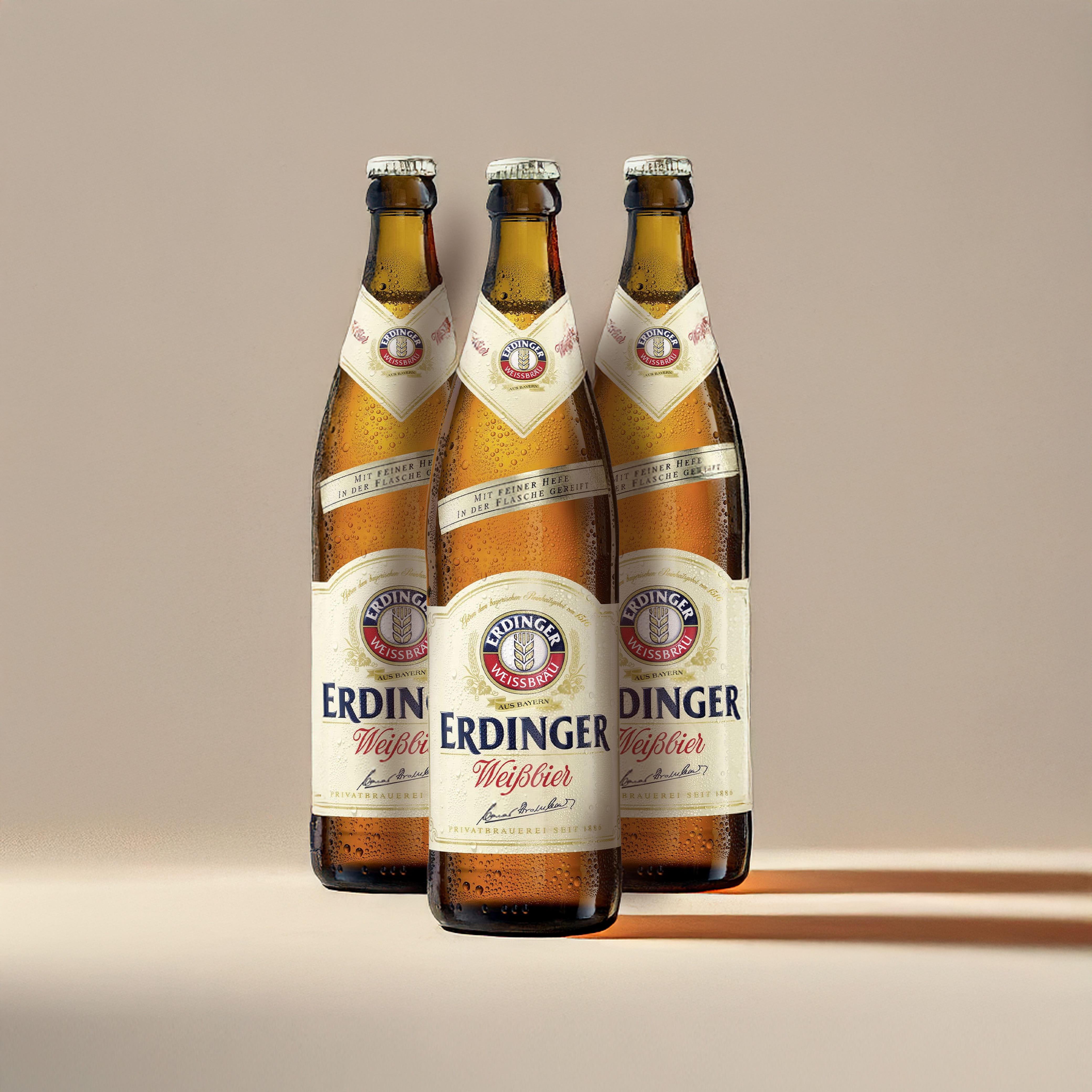 ERDINGER